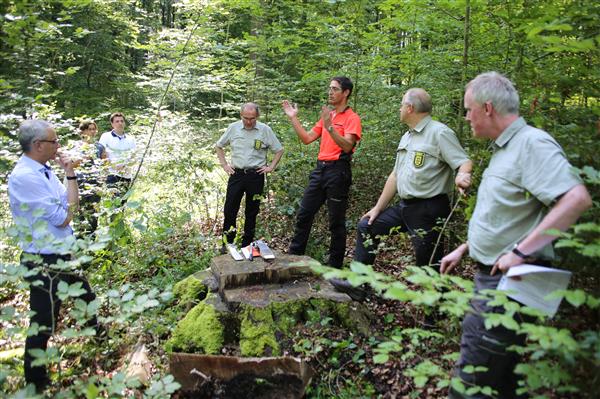  Forstwirt Jürgen Turay (M.) erläuterte Landrat Dr. Schnaudigel das Baumfällen 