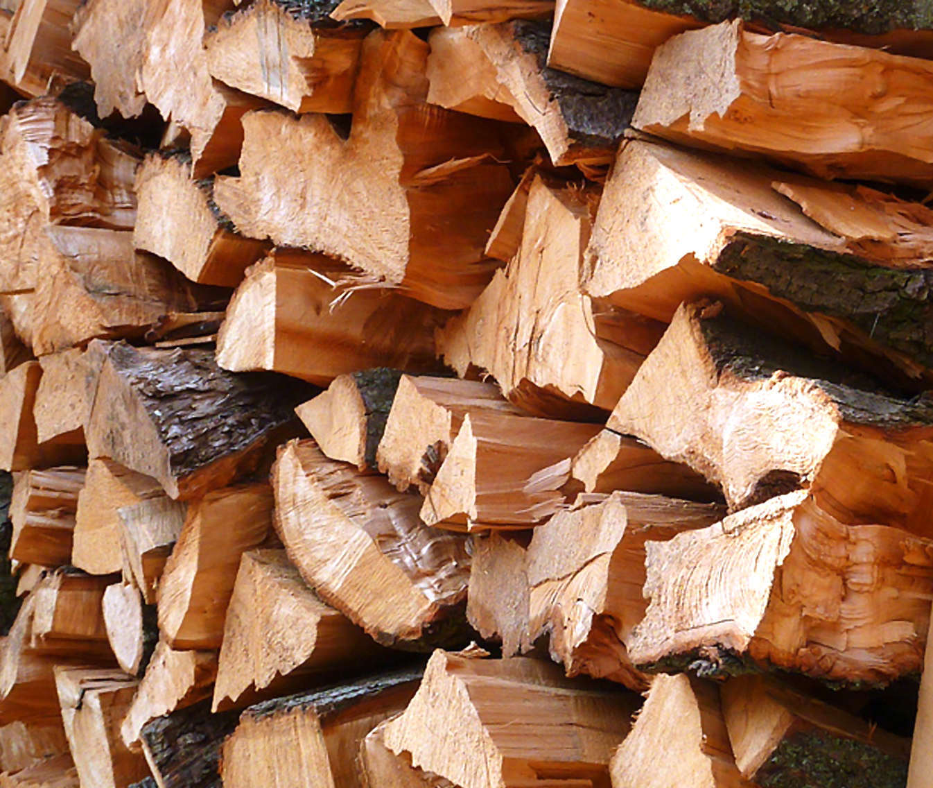  Brennholz aus dem Stadtwald wird in dieser Saison absehbar stark nachgefragt sein - das Bild wird mit Klick vergrößert 