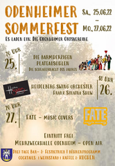 Sommerfest des AOV Odenheim