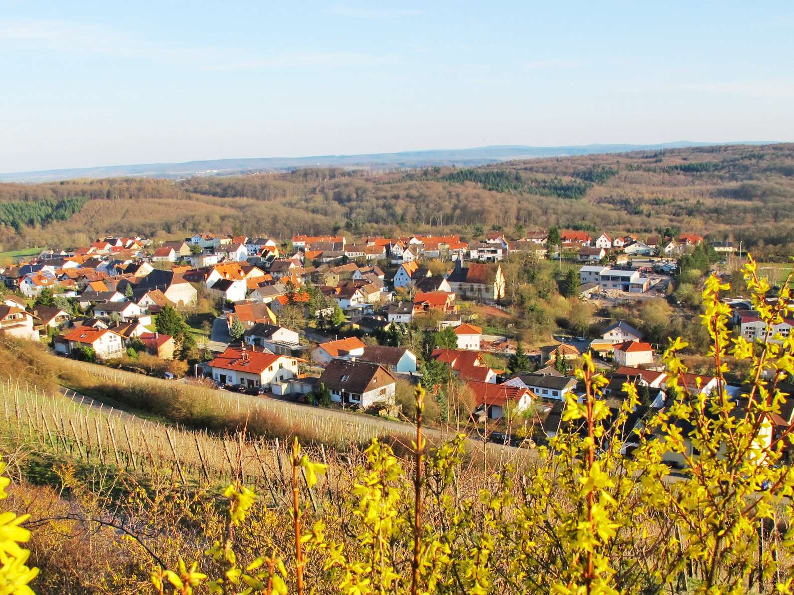  Blick auf Eichelberg - das Bild wird mit Klick vergrößert 