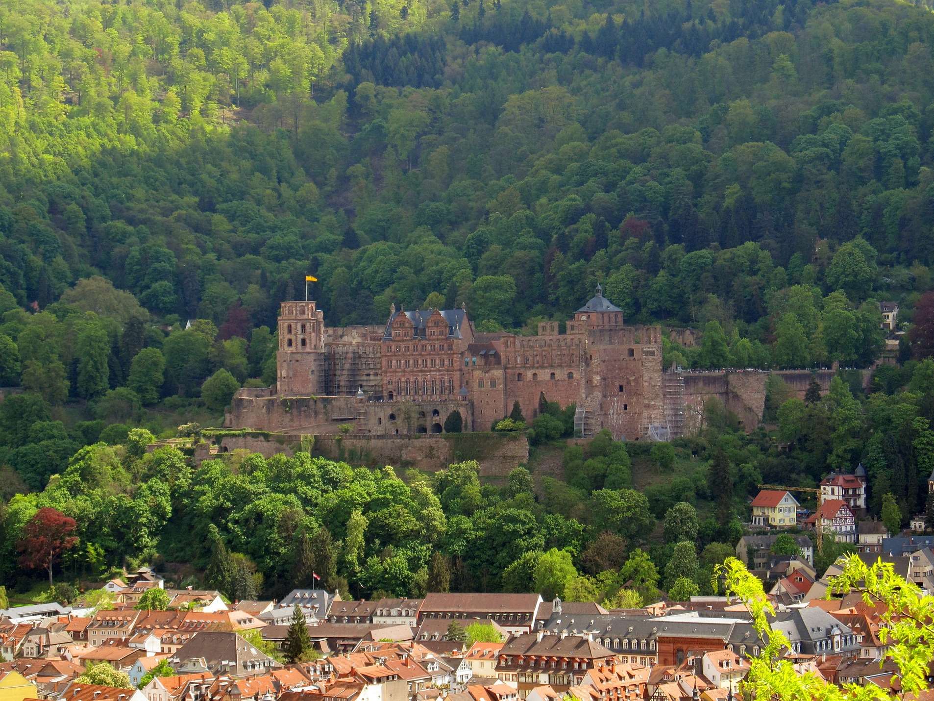  Schloss Heidelberg 