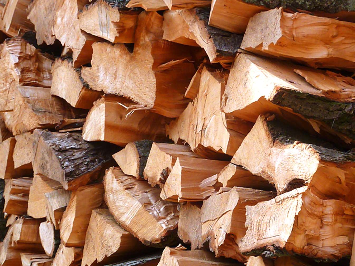 Deutlich steigende Nachfrage nach Brennholz zeichnet sich bereits ab
