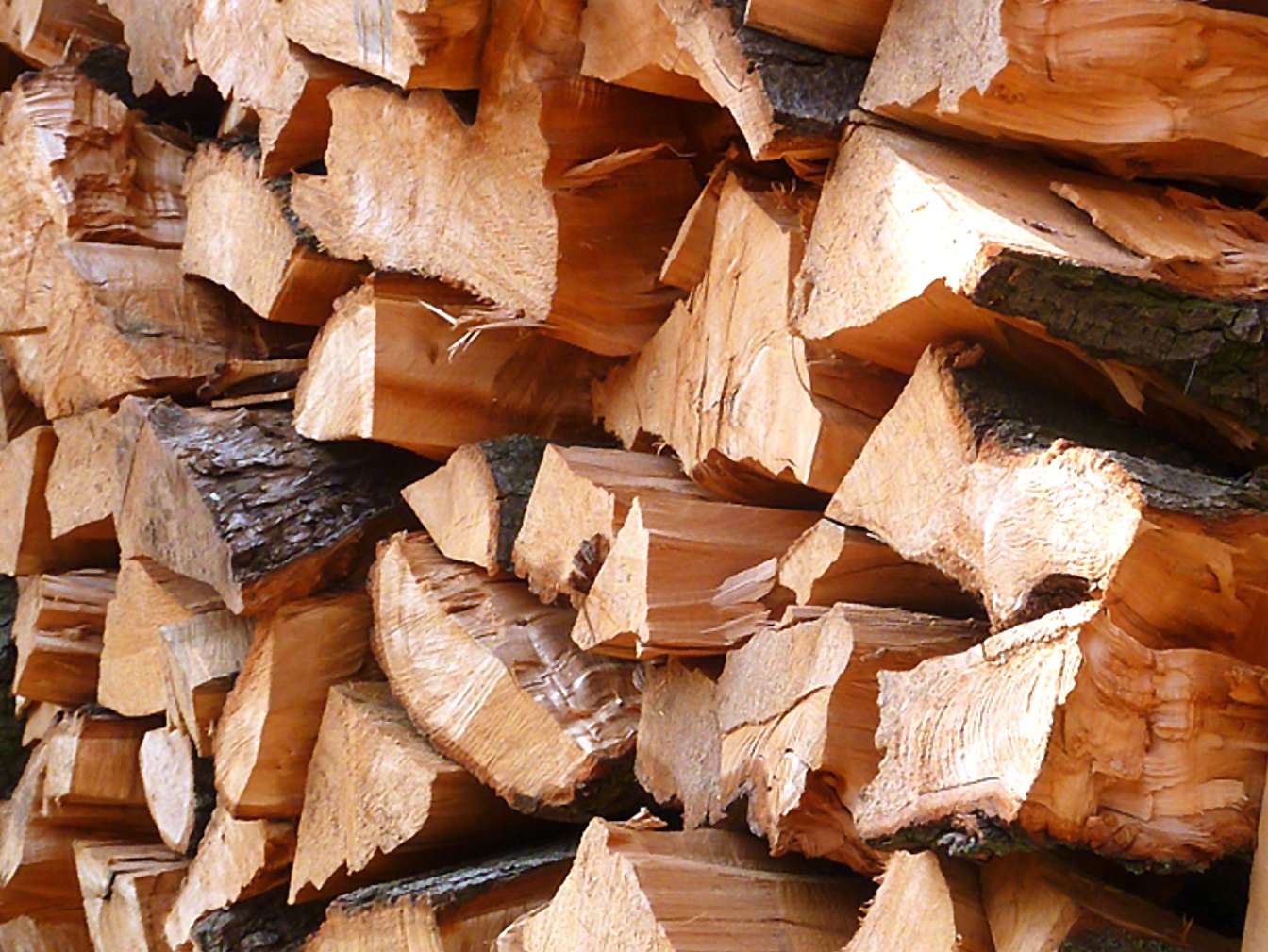 Abgabe von Brennholz aus dem Stadtwald Östringen